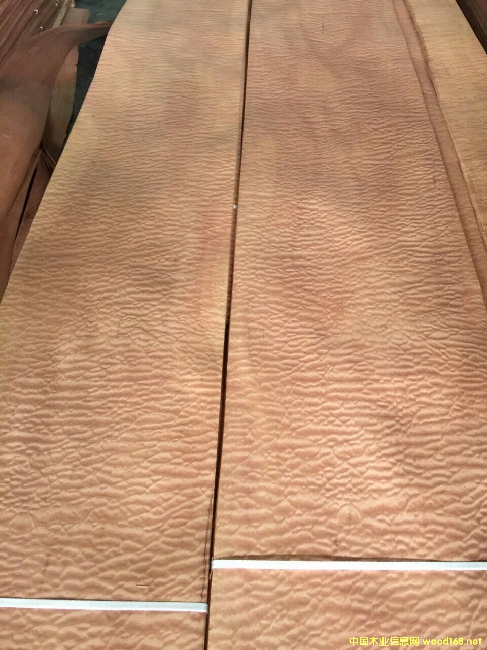 ��ɳ����yɳ������