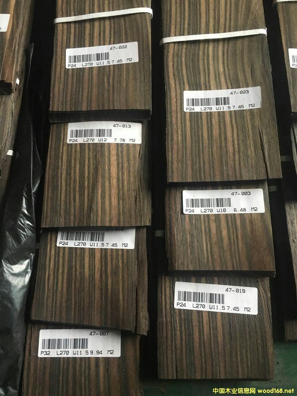 ��̴A��Macassar��