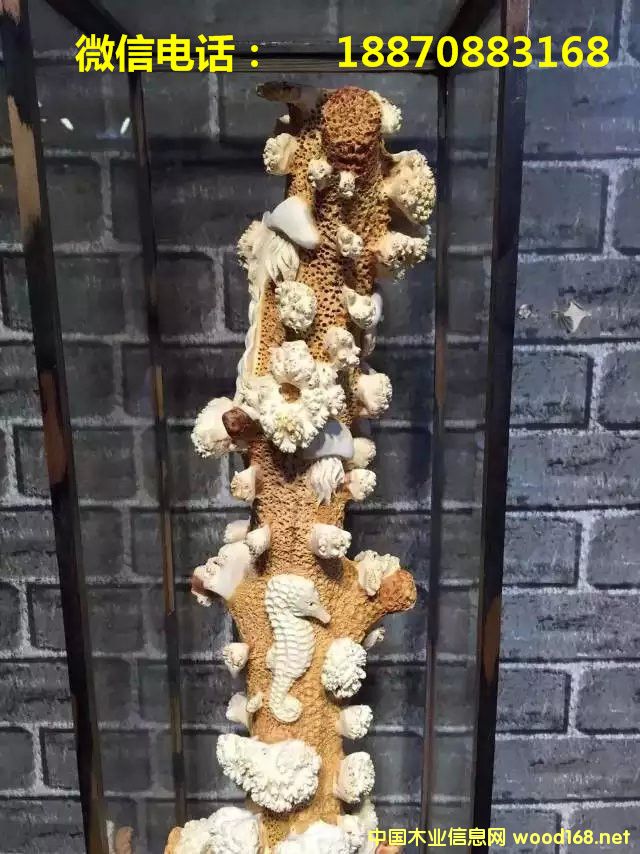 �°ظ����Ԕ��(x��)��B