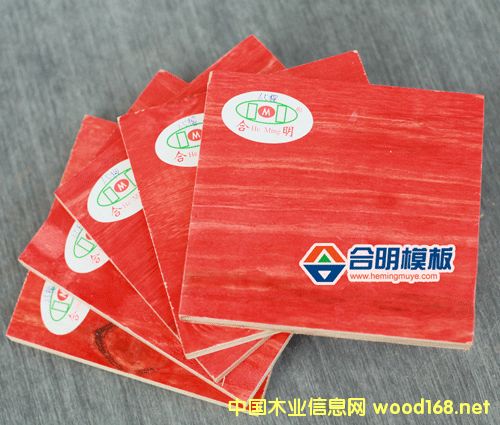 �����t��