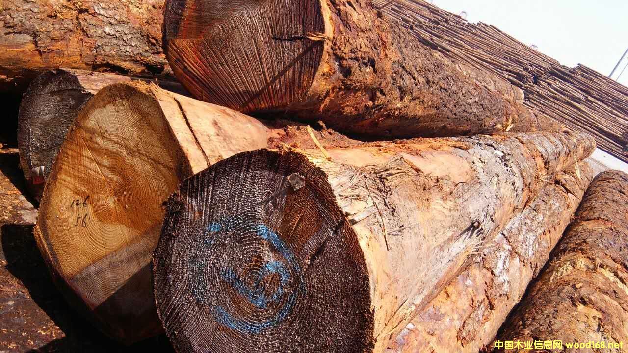 ������ԭľ���󏽱����ĵ�Ԕ��(x��)��B