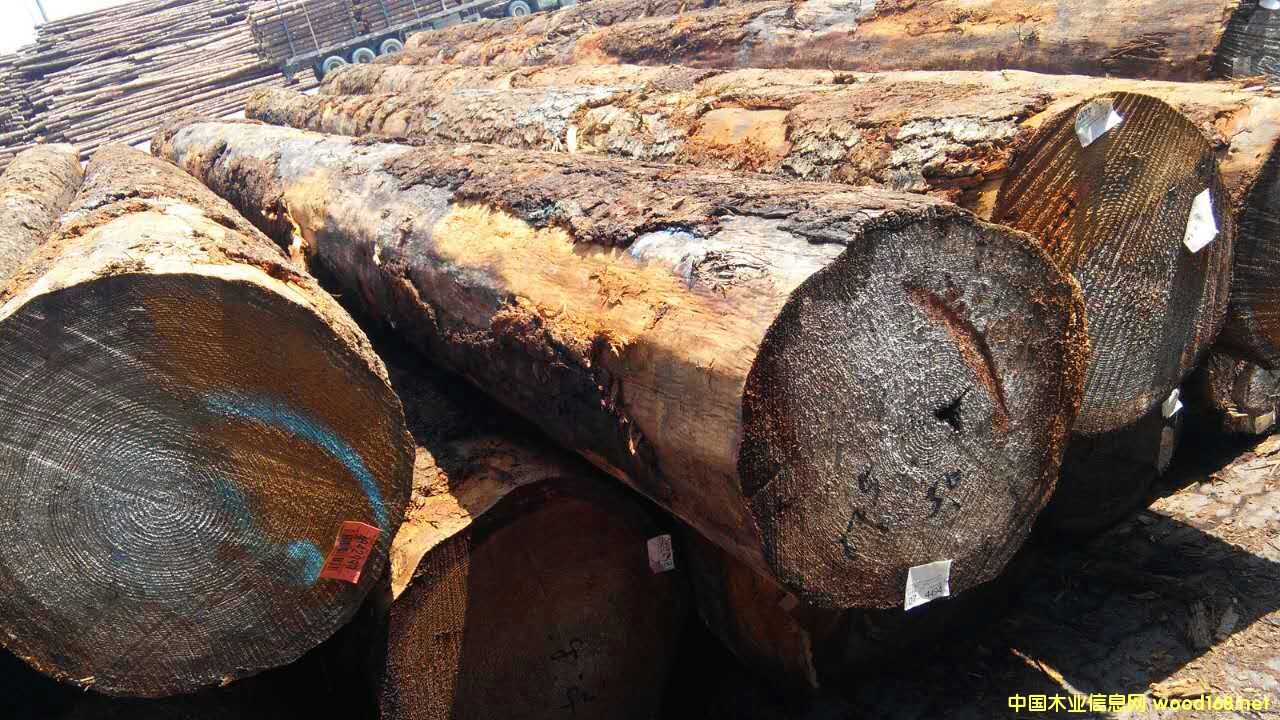 ������ԭľ���󏽱����ĵ�Ԕ��(x��)��B