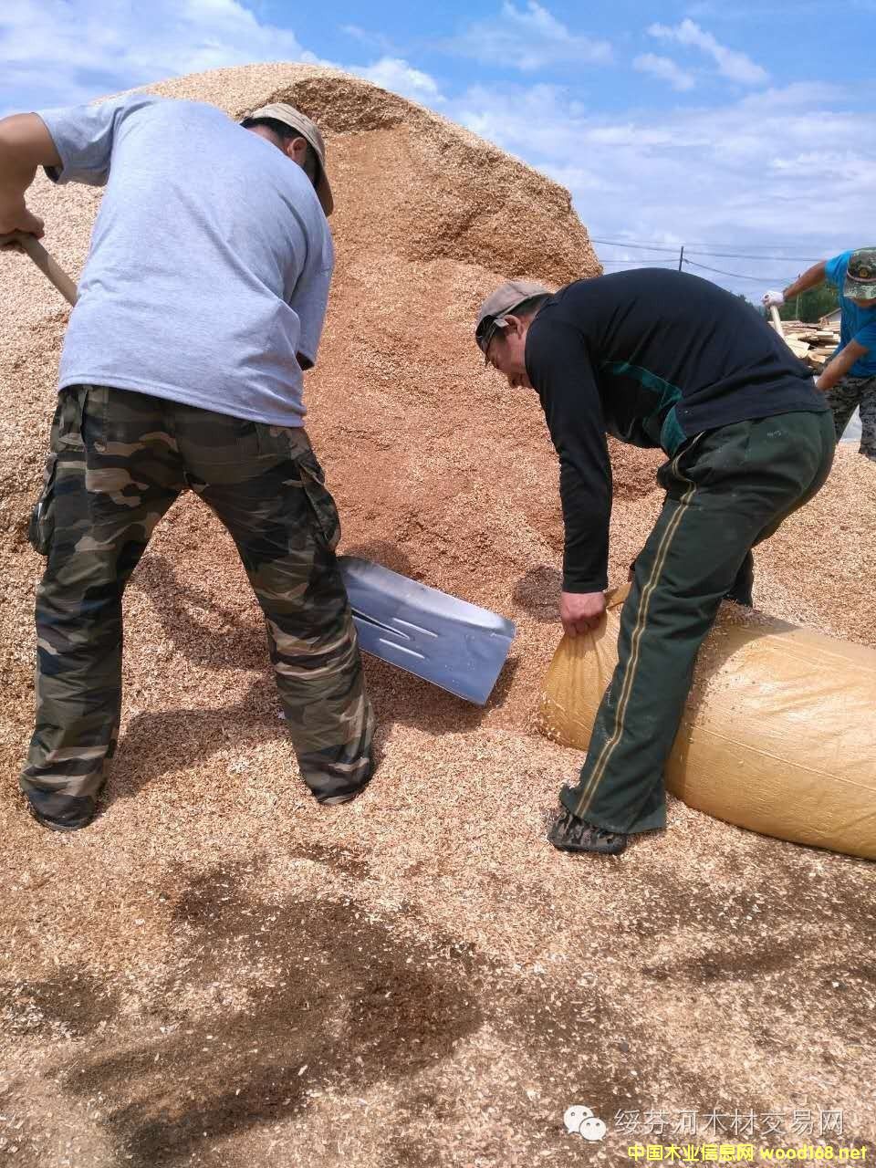 ��ľ����ľʳ�þ��ĩ�w��