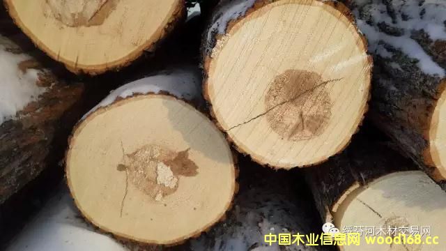 �羳��ُ���W���ľ�U�P��