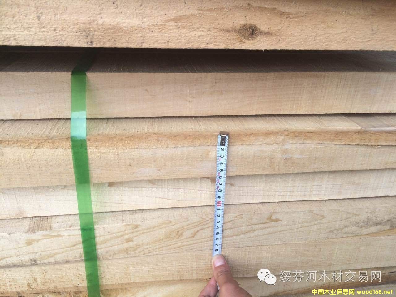 ���_˹�ľ���~�����