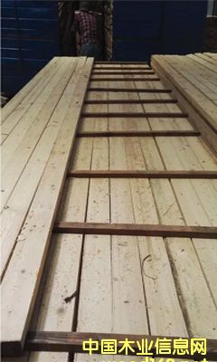 �����~�[�ɴ����