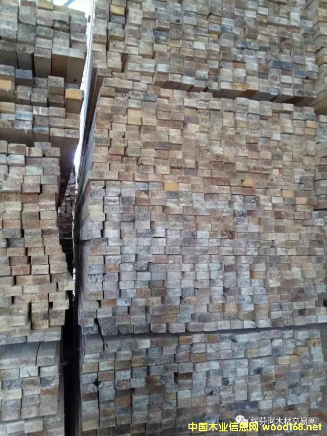 �~�[�ɸ���䏲�