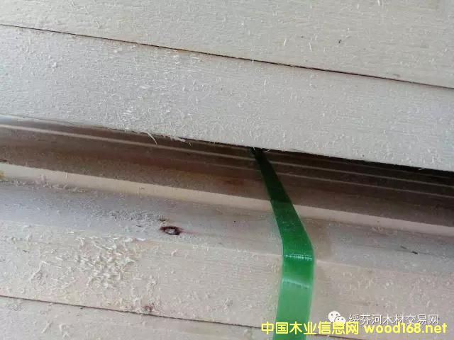 �~�[�ɸ���䏲�