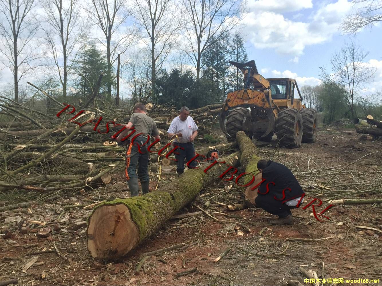 �W�� ��ľ ԭľ