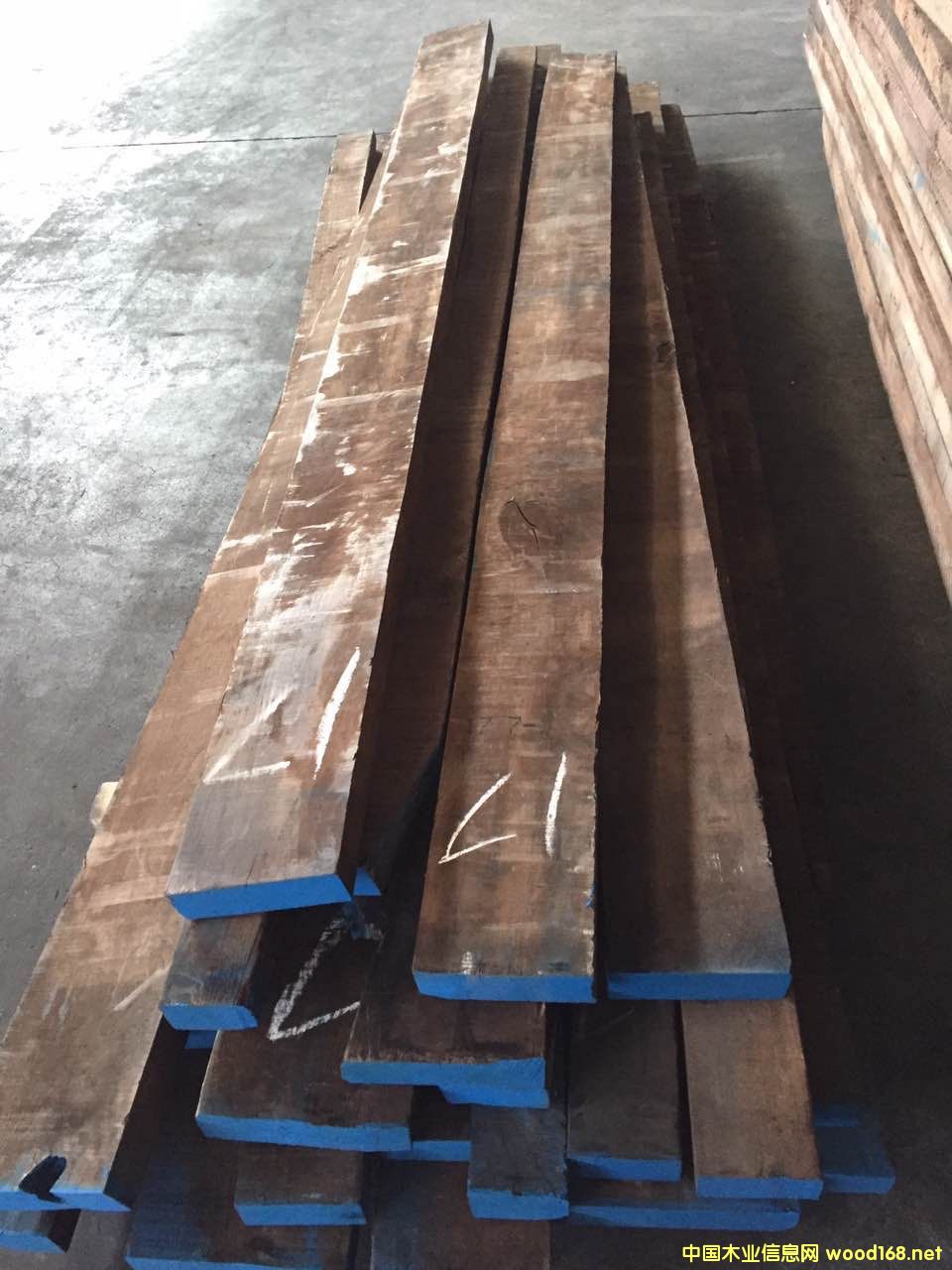 黑胡桃的詳細介紹