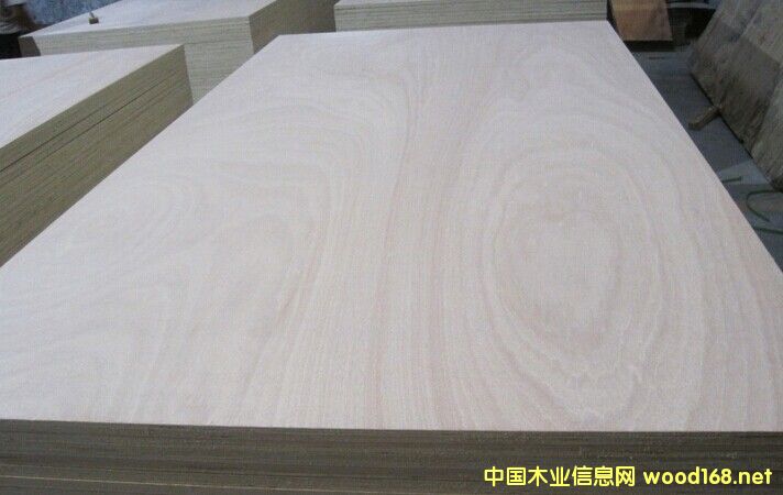 ��(y��u)�|(zh��)12mmE1��(j��)�ߙn�Ҿ������Ӱ�