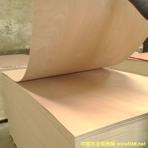 ���B(t��i)�z�ϰ��������z�ϰ������Ӱ�S��ֱ�N