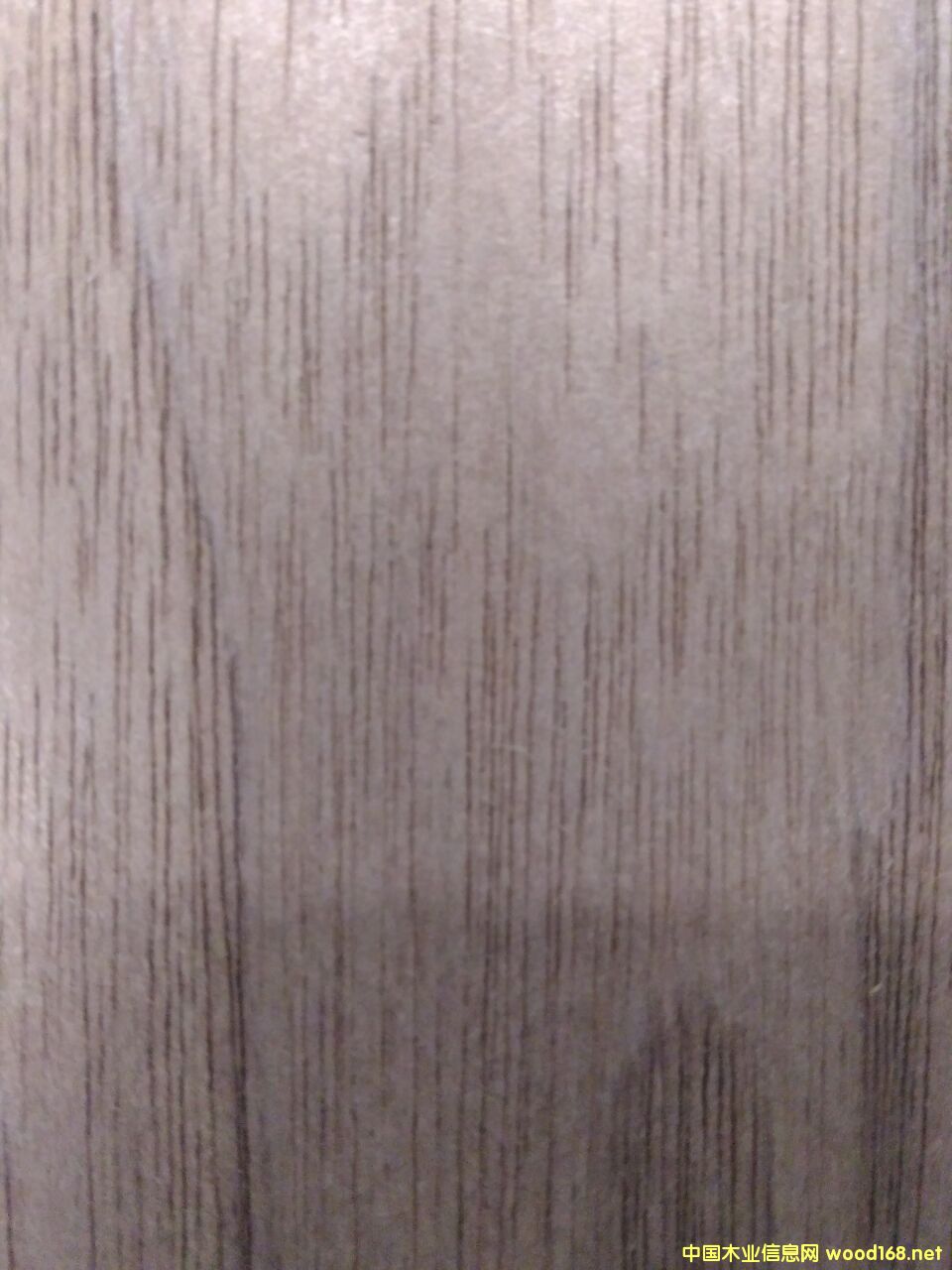 黑胡桃木的詳細(xì)介紹