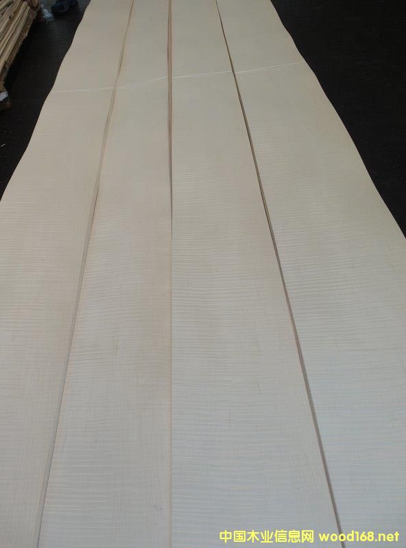 白影的詳細(xì)介紹