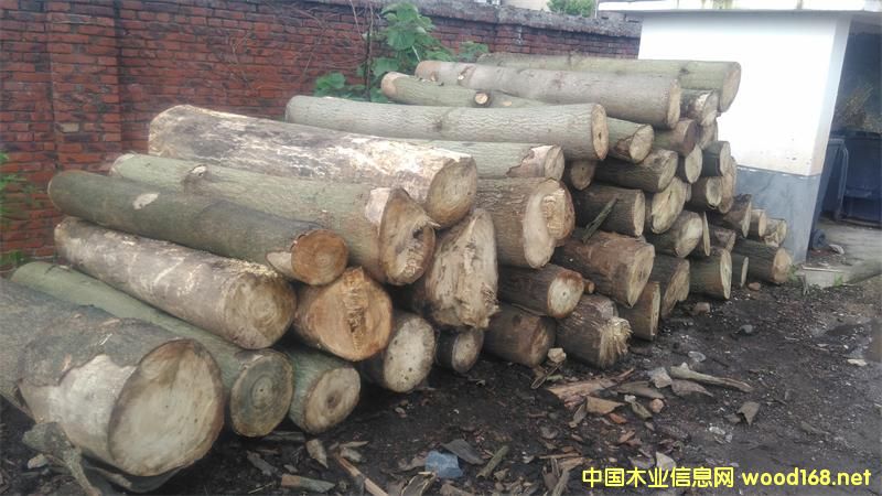 ��ͩľԭľ��䏲�