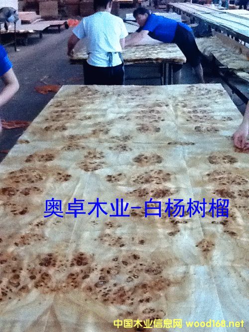 �ח��(sh��)���b����