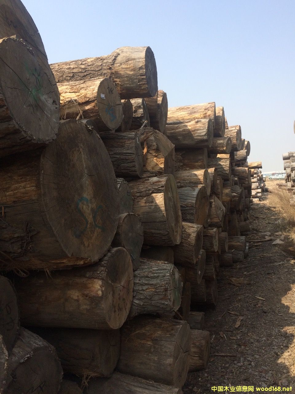 �M(j��n)��ԭľ��Ԕ��(x��)��B