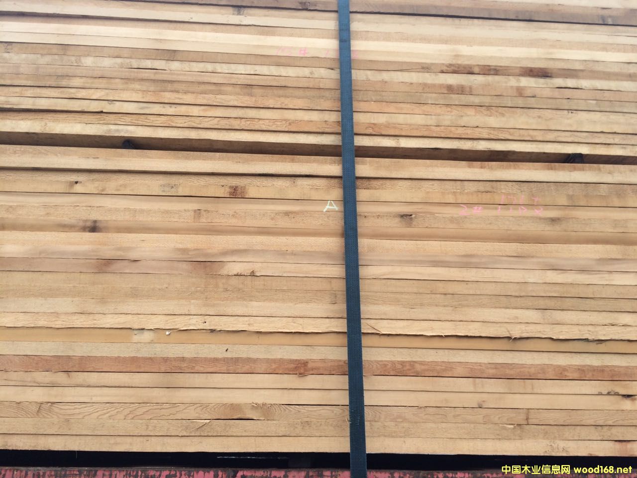 [��] �o��(ji��)�Fɼ�����