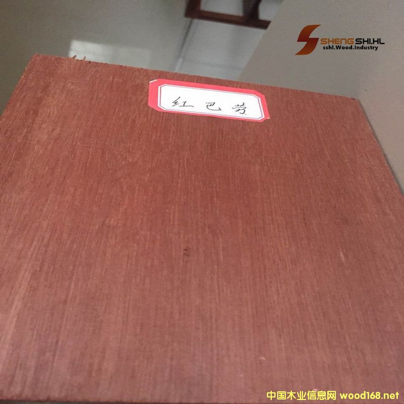 �t�̈́�ľ��Ԕ��(x��)��B