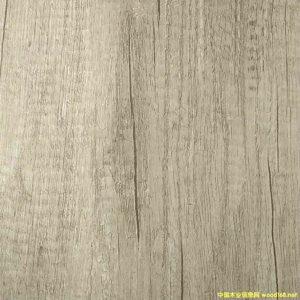 �߶˟o(w��)ȩ��(sh��)ľ���