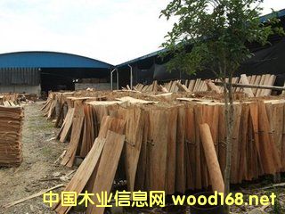 ��ľ�AоƤ��Ԕ��(x��)��B