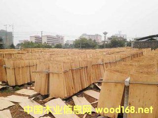 ��ľ�Aо��Ԕ��(x��)��B