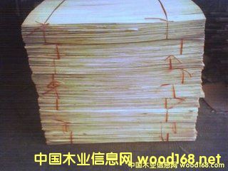 ��ľ�Aо��Ԕ��(x��)��B