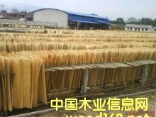 ��ľ�Aо��Ԕ��(x��)��B