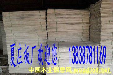 ��ľ�Aо��Ԕ��(x��)��B