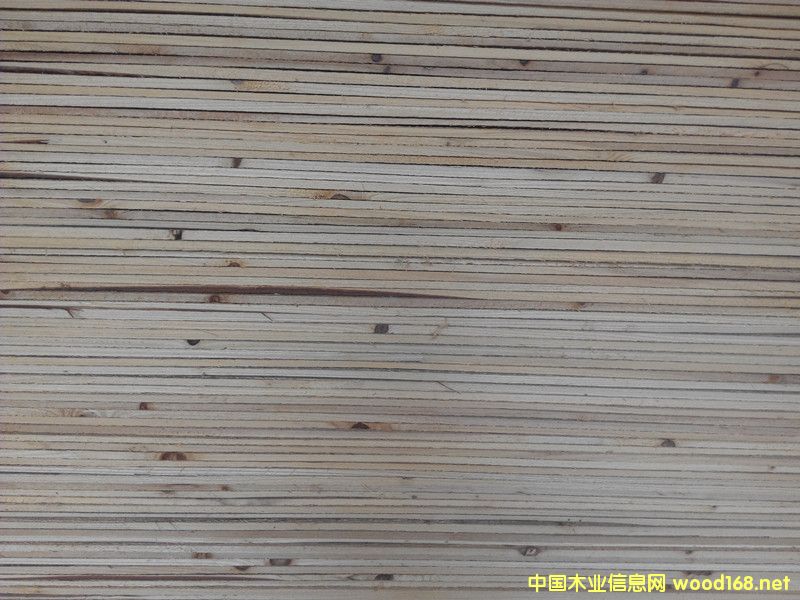 杉木床板的詳細介紹