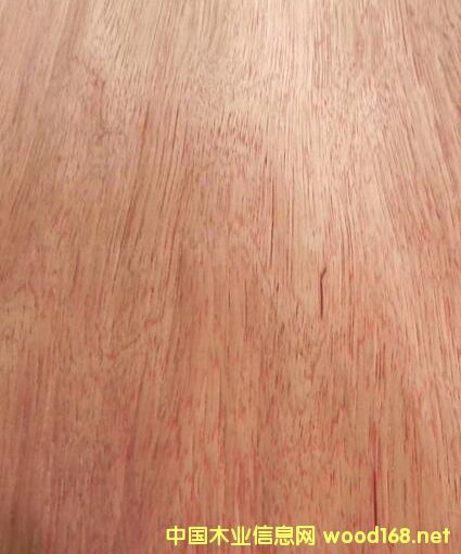 ���ǹ���Ԕ��(x��)��B