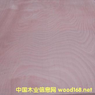 �W�棨�W��������Ԕ��(x��)��B