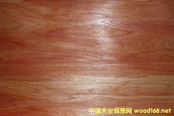 �sľ�t���Ԕ��(x��)��B