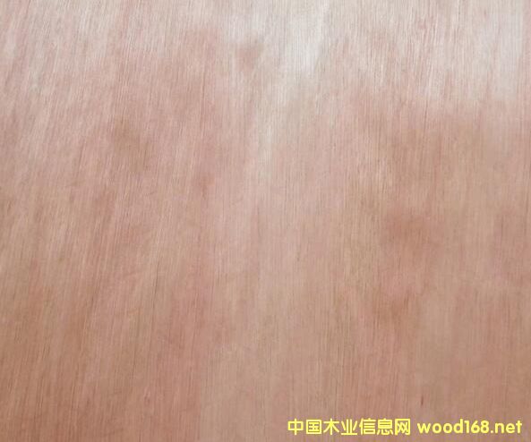 ���_����Ԕ��(x��)��B