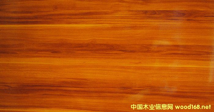 ���ľ��Ԕ��(x��)��B