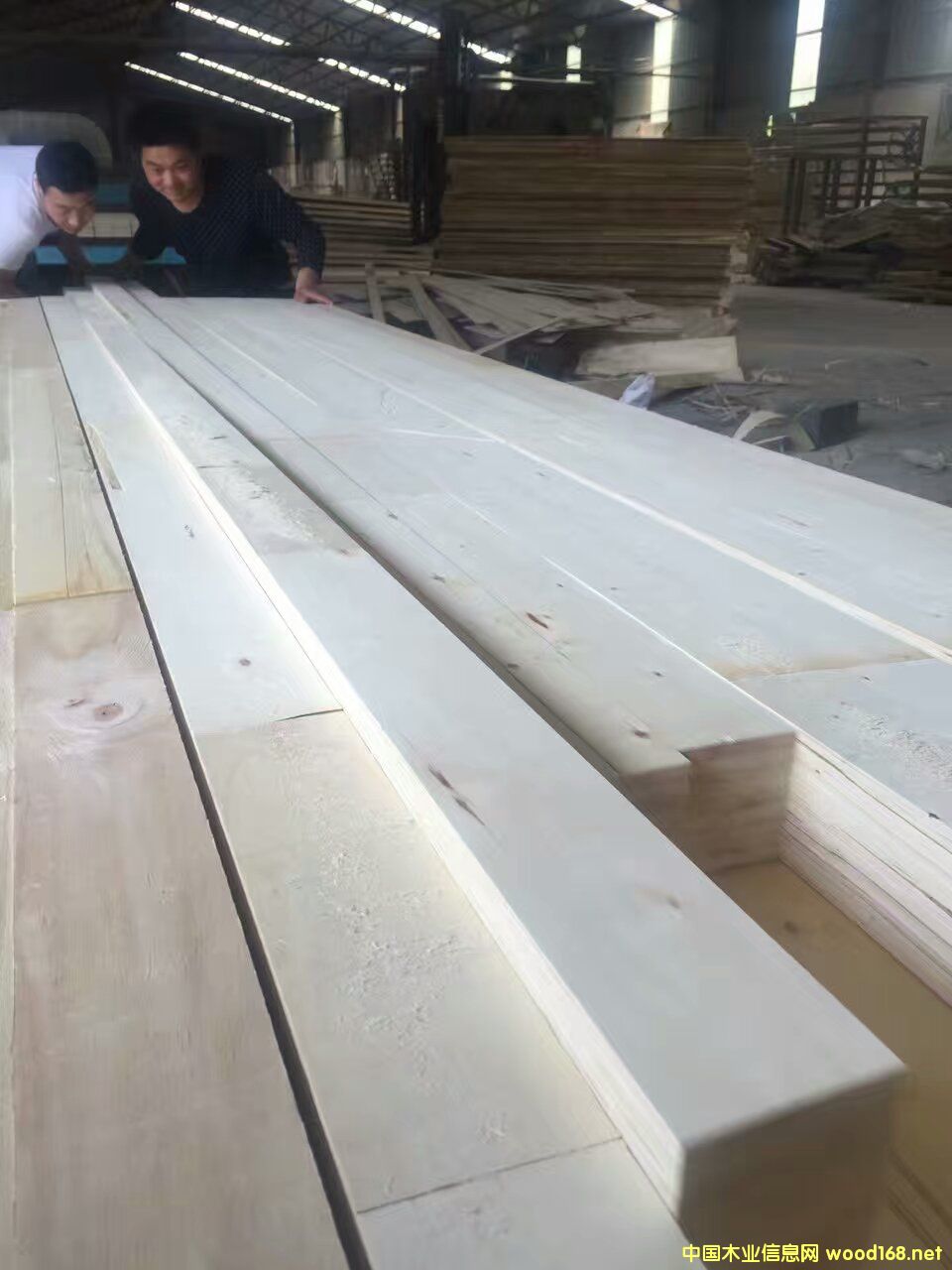 �Tо�� ľ�T���l �T�װ�