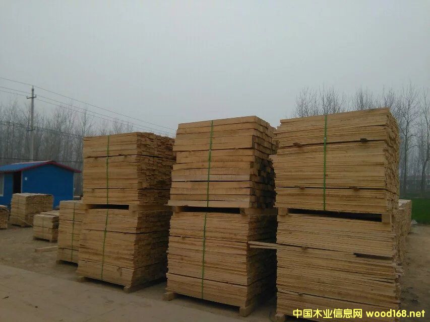 ��ꖟo�x��ľ�l