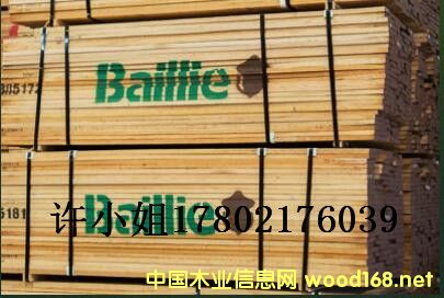 ��������ľ�����Dľ