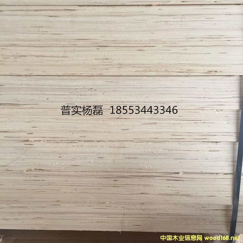 ��ľ�_̤��