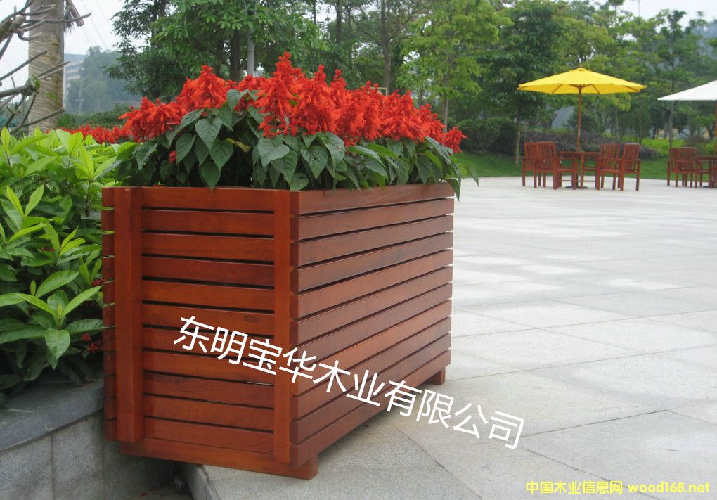 ��(sh��)ľ����