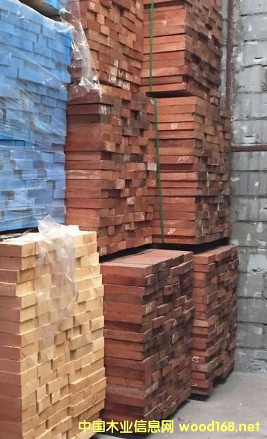 花梨木的詳細(xì)介紹