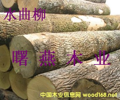 ˮ����ԭľ�������ľ��