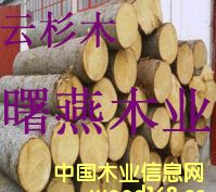 [��] ���ô���ɼľԭľ������ľ��������ľ��