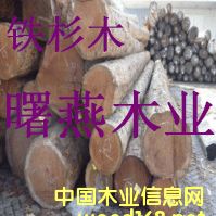 ���ô��Fɼľԭľ