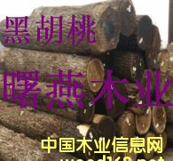 �ں���ľԭľ����ģ�ľ��