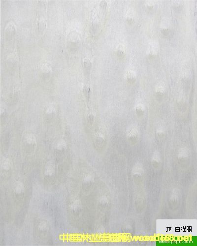 ��؈�۵�Ԕ��(x��)��B