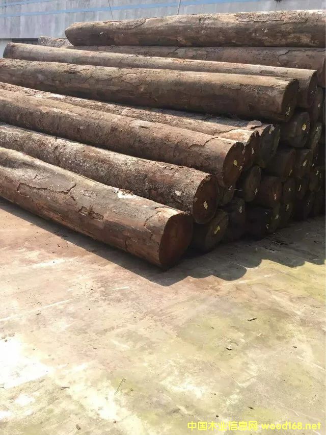 ���}��ԭľ��Ԕ��(x��)��B