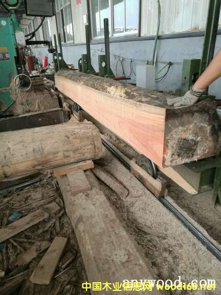 õ��ľ��Ԕ����B