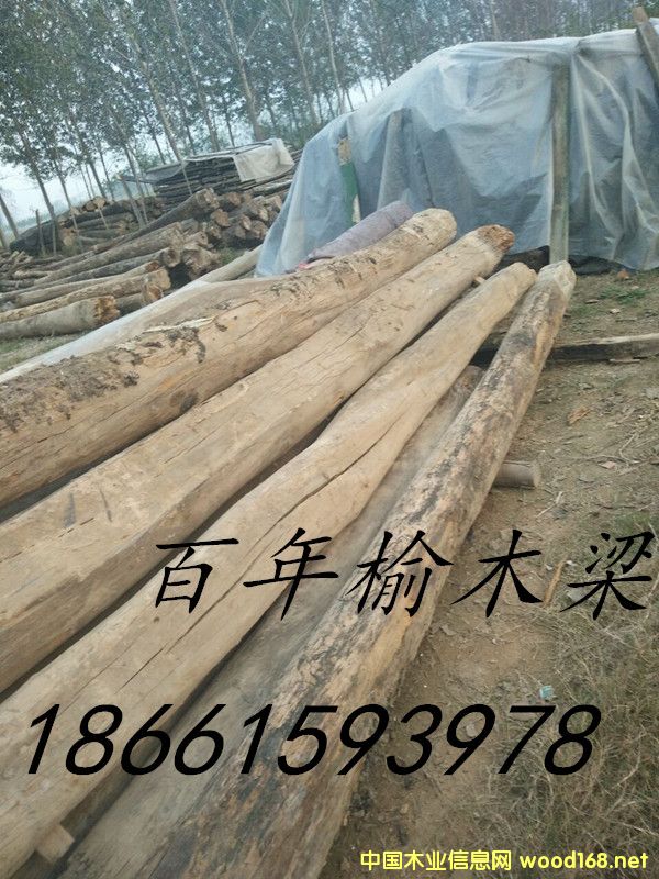 ����ľ����