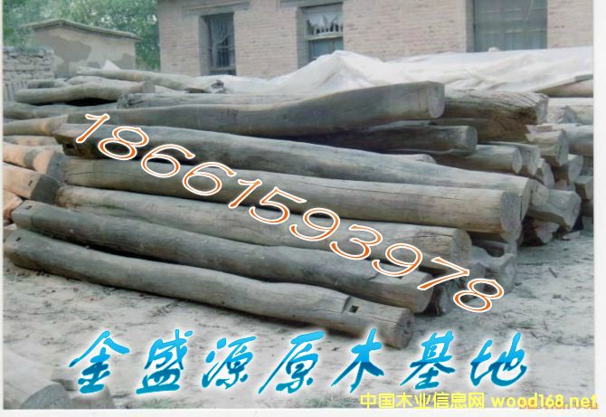 老榆木的詳細(xì)介紹